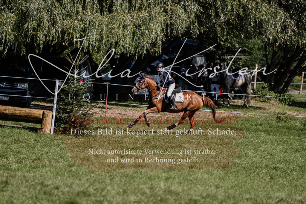 DSC_1656 | Pferde- und Turnierfotografie in Westsachsen. Pferdeportraits, Auftragszeichnungen und intuitive Kunst.