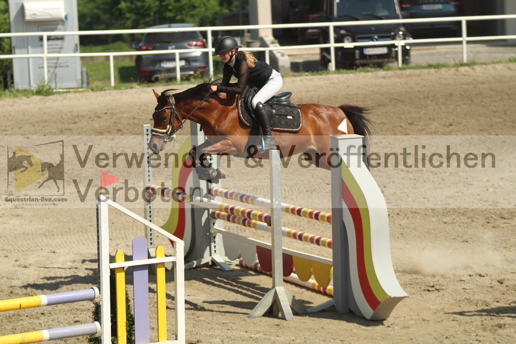 IMG_2261 | equestrian-live-com