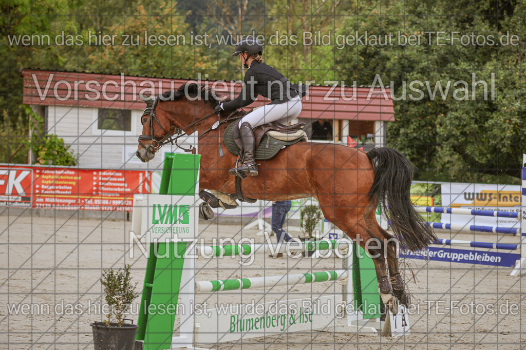 2025-09-22_09-34-37_MG_3640 | TE-Fotos