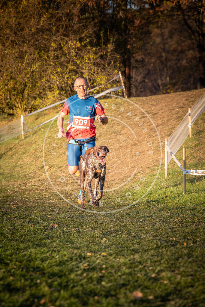 CaniXpix_0L8A1430 | Hundefotografie, Tierfotograf, Pfotenfotografie, Fotoshooting Hund, Hunde Portrait, Hundesport, Hundeportraits, Heideshooting, Hunde, Sportfotograf, Hundefotograf, Turnierhundsport, THS,  - Realisiert mit Pictrs.com