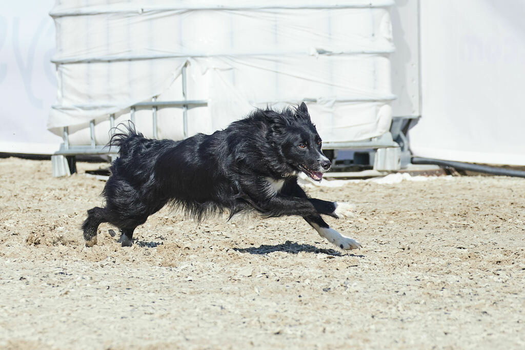 580A0168 | Peter Fridle Fotografie - Realisiert mit Pictrs.com