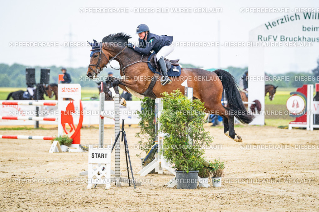 DSC08052 | Pferdegrafie