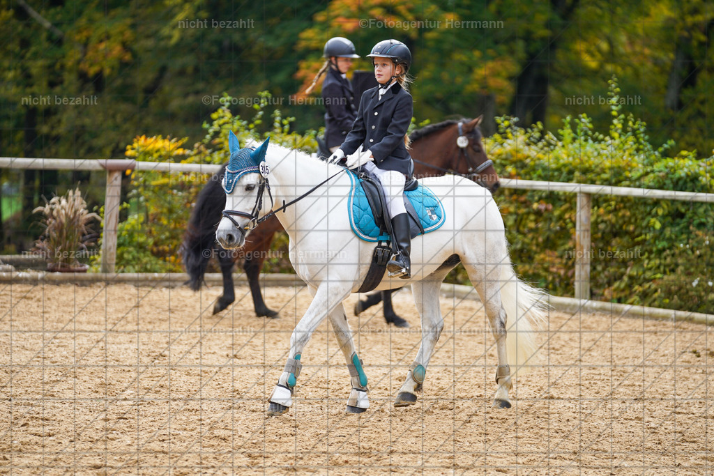 20221008-FAH01225 | Diessen am Ammersee, 2022, Dressur- und Springturnier, Reitsportbilder, Turnierfotografen Bayern, Pferdefotografen, Fotoagentur Herrmann, Turnierbilder