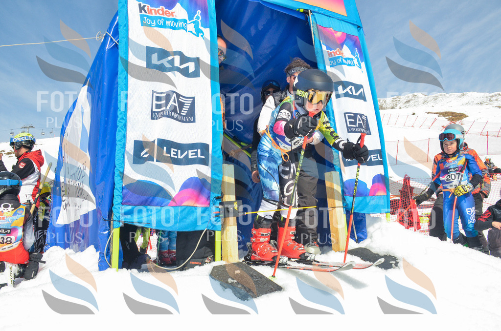 _ELE6509 | holidayphoto