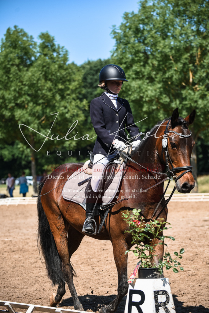 DSC_3303 | Pferde- und Turnierfotografie in Westsachsen. Pferdeportraits, Auftragszeichnungen und intuitive Kunst.