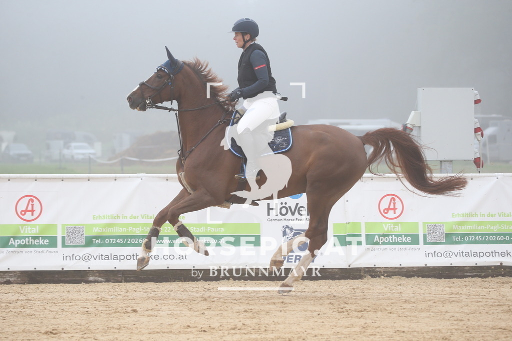 DL2Q3202 | Willkommen bei Brunnmayr - Design & Fotografie – Ihrem Spezialisten für Reitturniere und Pferdeveranstaltungen in Oberösterreich, Salzburg und Bayern! Seit über 17 Jahren sind wir leidenschaftlich dabei.