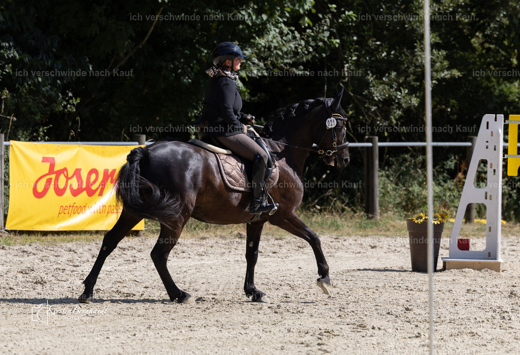 WA_Trail_79_KerstinBernhardt-19 | working equitationturnier fotograf videograf stoibphotography marixx film working equitation deutschland reitsport turnierfotografie eventfotografie equestrian events