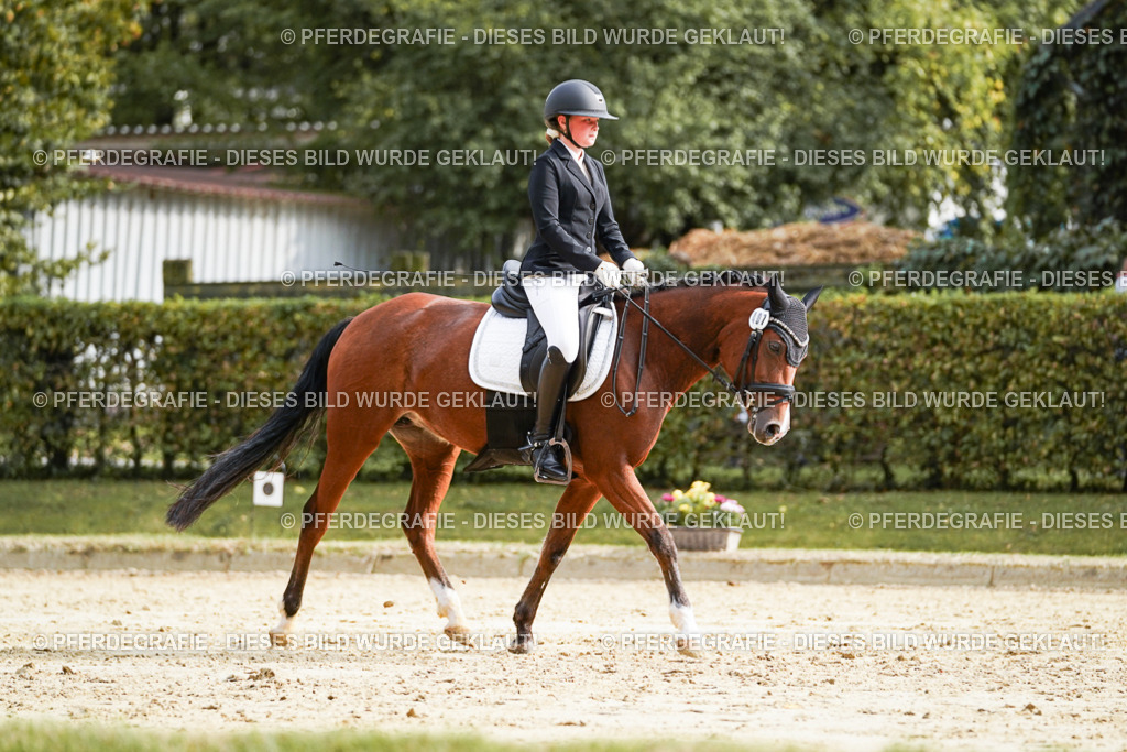 DSC04504 | Pferdegrafie