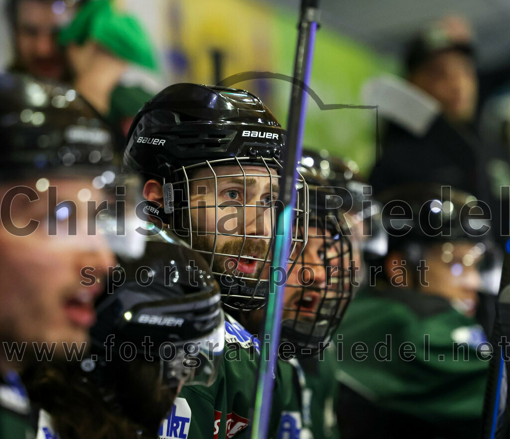 2023-01-22_141_Eishockey_TSV_Erding_gegen_ESC_Dorfen | Erding, Deutschland, 22.01.2023:
Eishockey, Bayernliga 2022 / 2023, 29. Spieltag, TSV Erding gegen ESC Dorfen, Endergebnis: 6:2

Florian Zimmermann (Erding Gladiators, #5)

Foto: Christian Riedel / fotografie-riedel.net