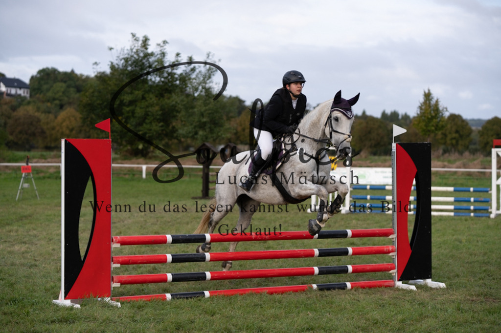 A7V06310 | Pferdefotograf