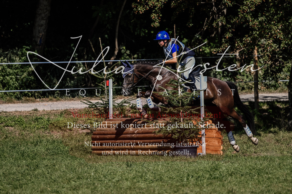 DSC_1679 | Pferde- und Turnierfotografie in Westsachsen. Pferdeportraits, Auftragszeichnungen und intuitive Kunst.