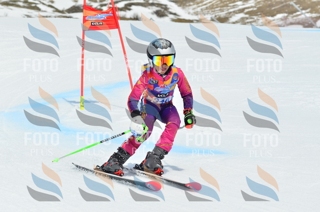 _ELE2632 | holidayphoto