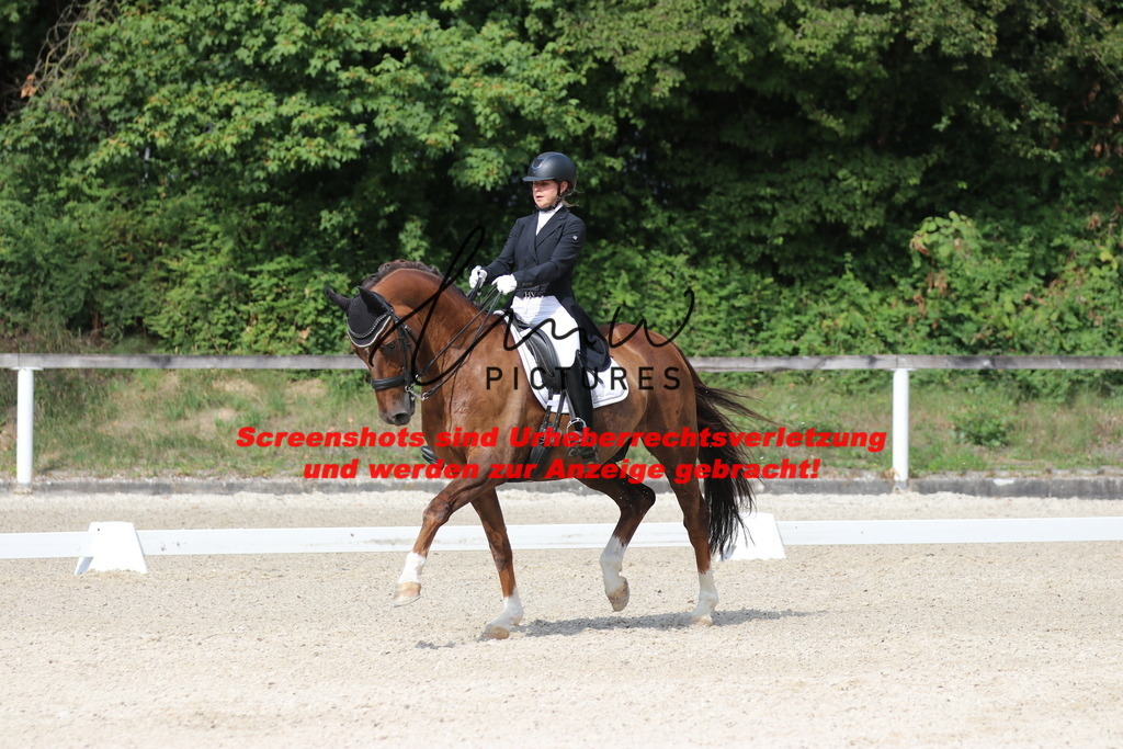 IMG_6835 | lmwpictures - Realisiert mit Pictrs.com