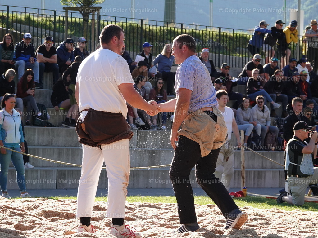 DSC07365 | Schwingen - Realisiert mit Pictrs.com