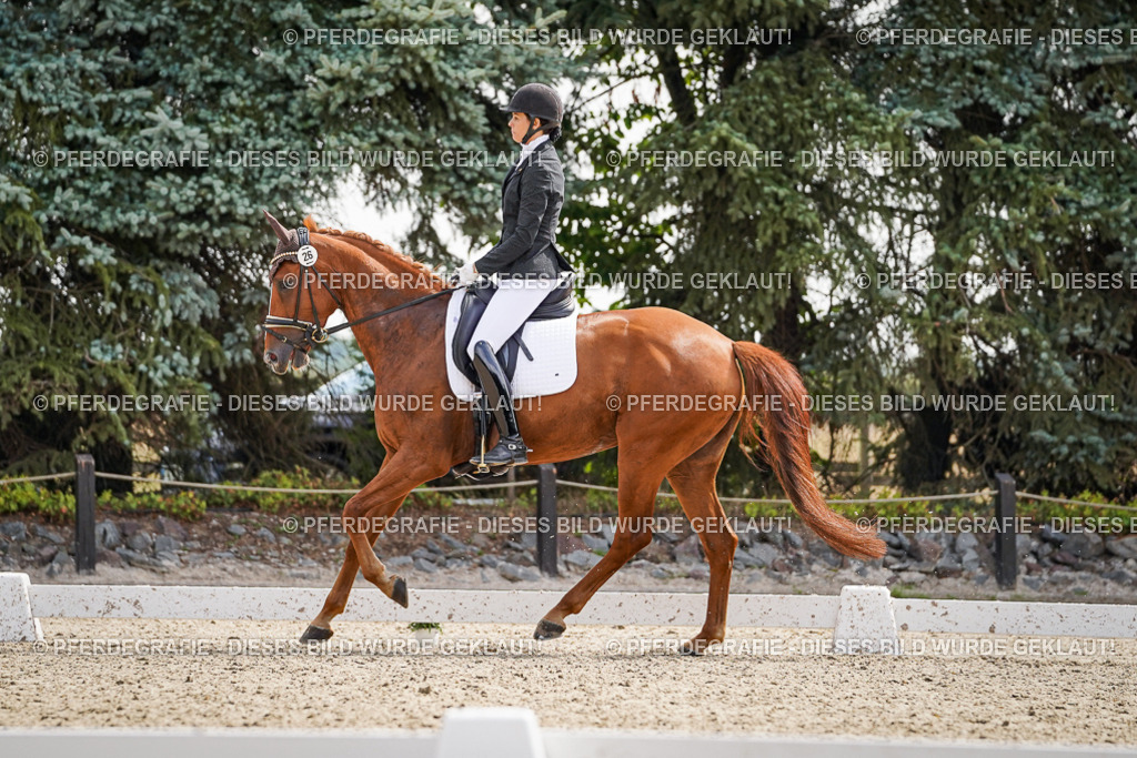 DSC08419 | Pferdegrafie