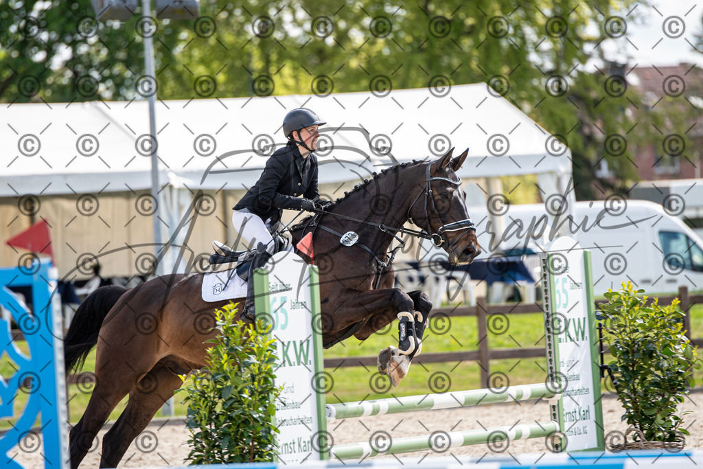 KPT_4817 | andre_photographic