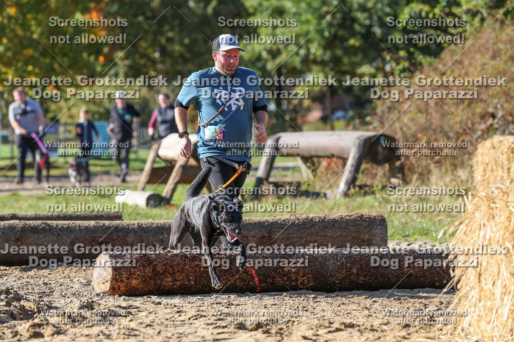 Dog Paparazzi - Strongdog 10-25-2826 | Dog Paparazzi Jeanette Grottendiek Fotografie & Videografie - Realisiert mit Pictrs.com