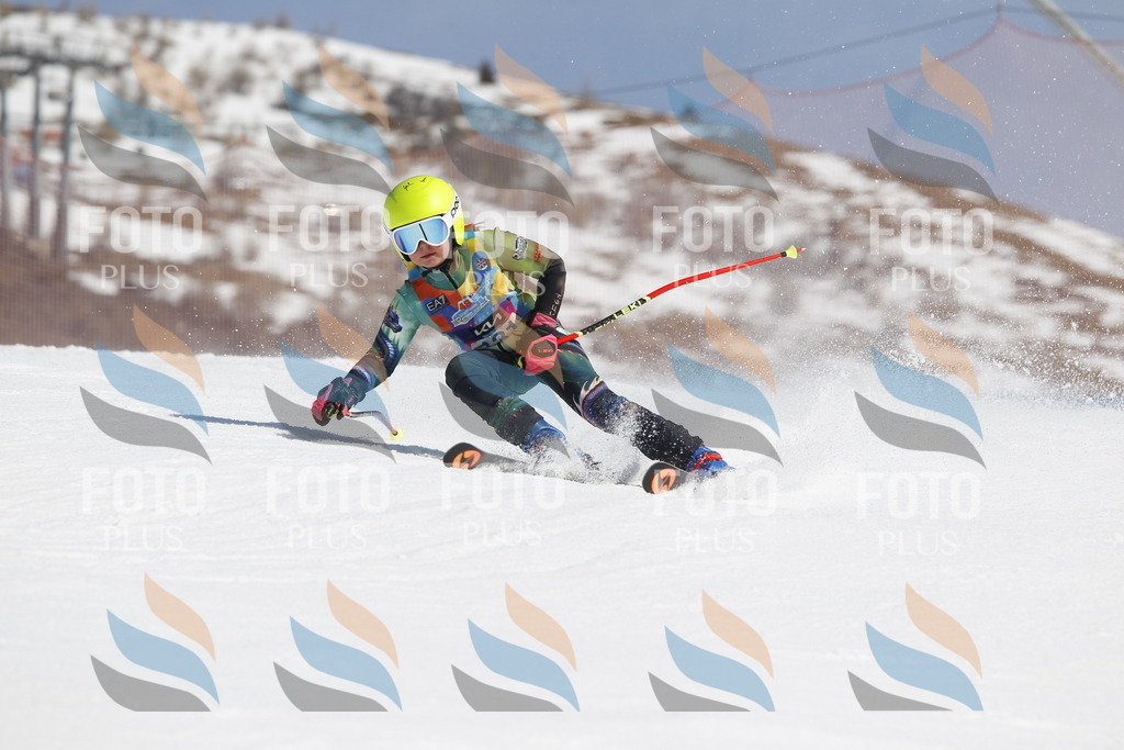 _U3G0871 | holidayphoto