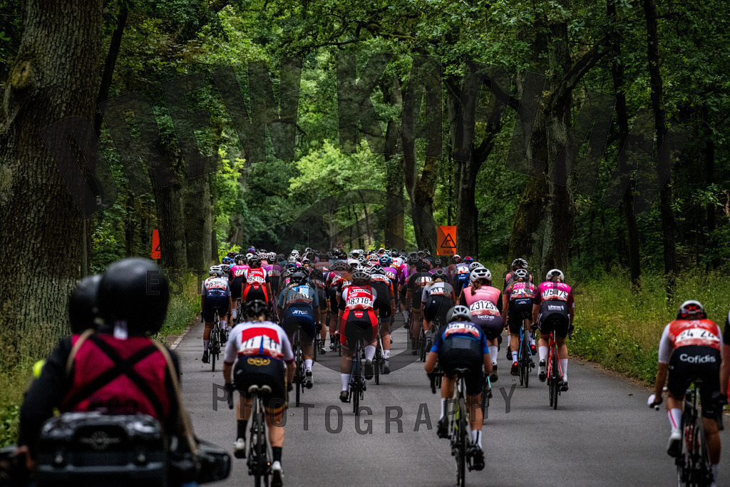 _DKP8018 | Drew Kaplan Photography