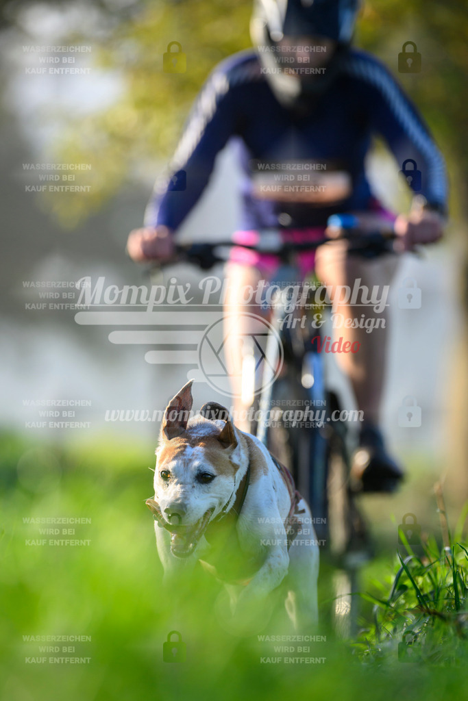 MompixPhotography_20TSB_E3_Bike-217 | PayLife