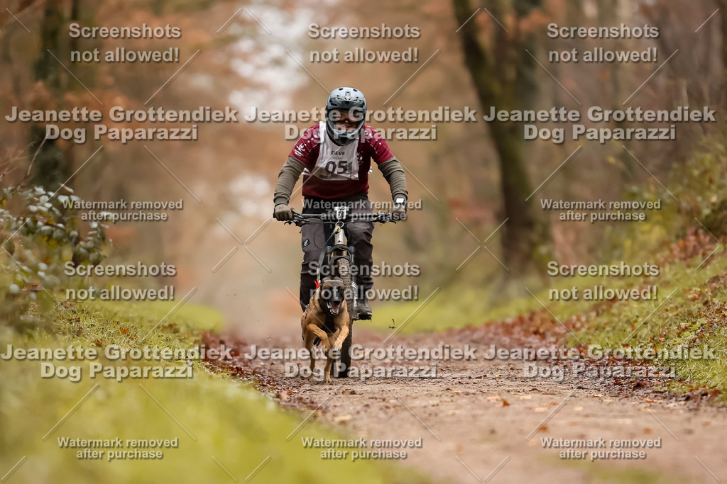 Dog Paparazzi - Speedhunter Mannheim  2025-12 | Dog Paparazzi Jeanette Grottendiek Fotografie & Videografie