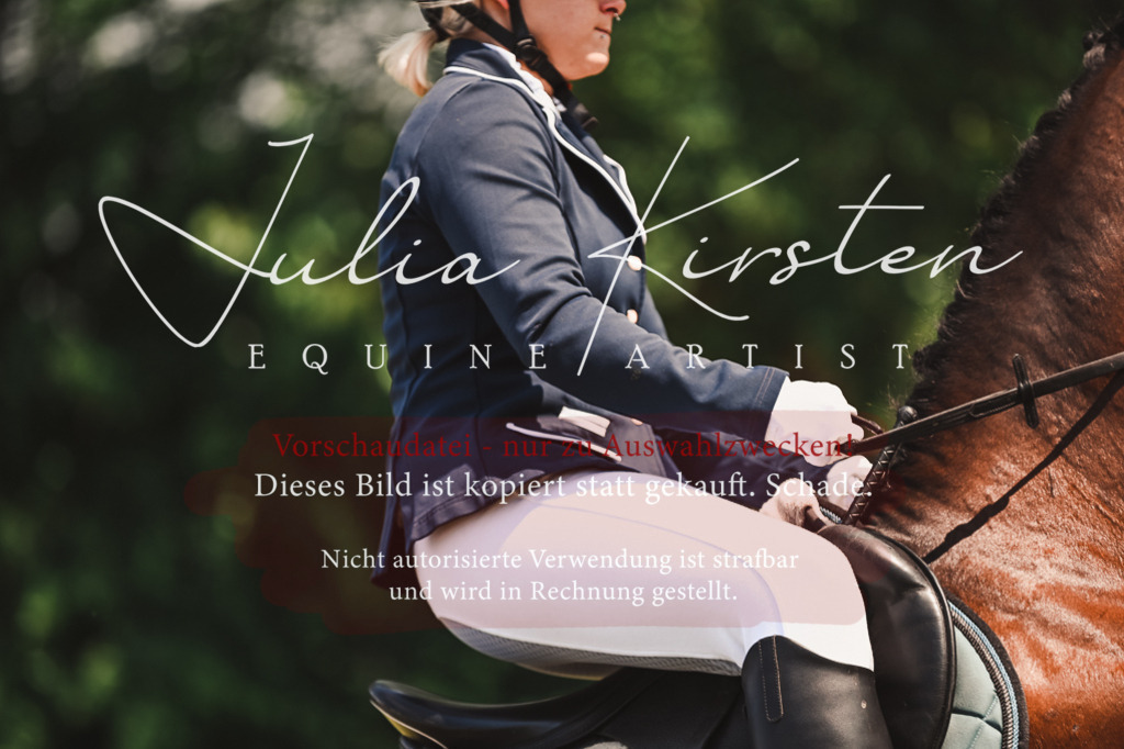 DSC_7315 | Pferde- und Turnierfotografie in Westsachsen. Pferdeportraits, Auftragszeichnungen und intuitive Kunst.