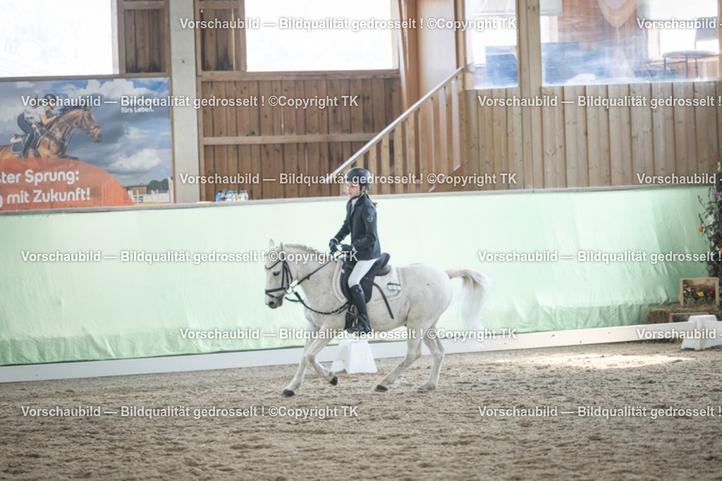 _D5A8949 | Emotionale Pferde- & People-Fotografie rund um Heidelberg, Leimen & Umgebung. Natürliche Fotos von Pferd, Mensch & Familie. Jetzt Termin sichern!