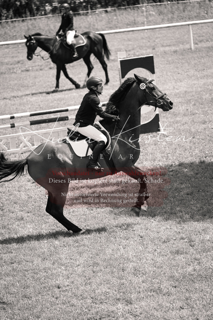 DSC_9761 | Pferde- und Turnierfotografie in Westsachsen. Pferdeportraits, Auftragszeichnungen und intuitive Kunst.