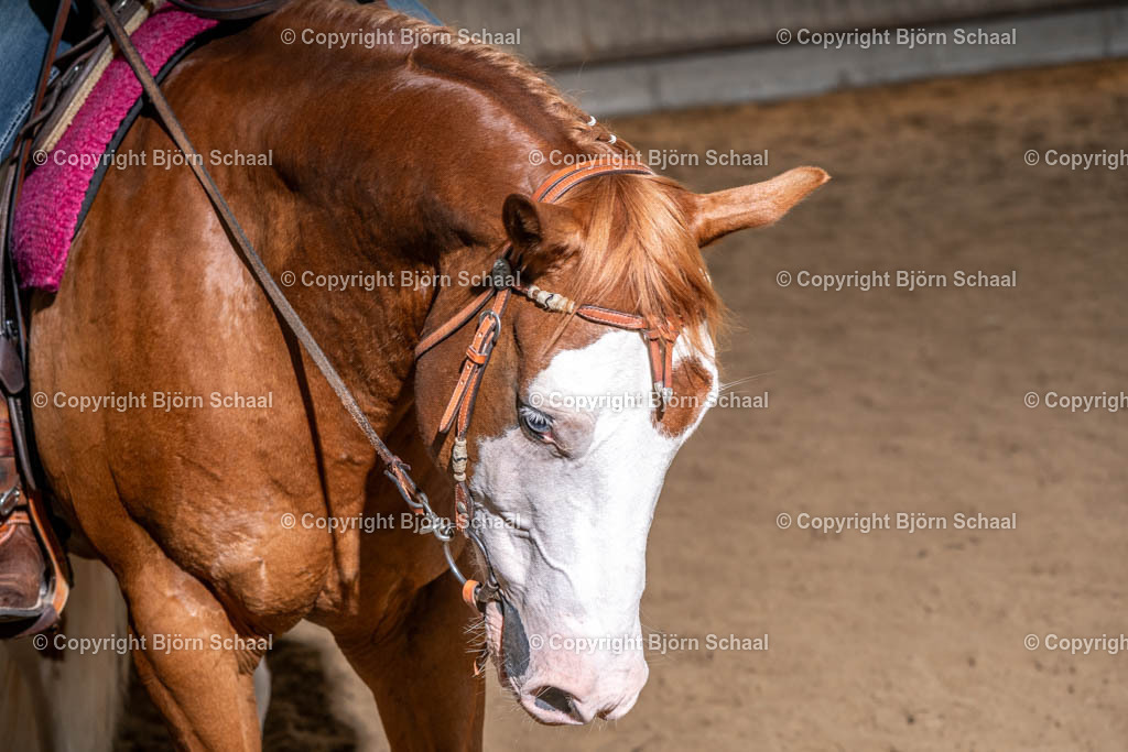 SBS03075 | BS-foto