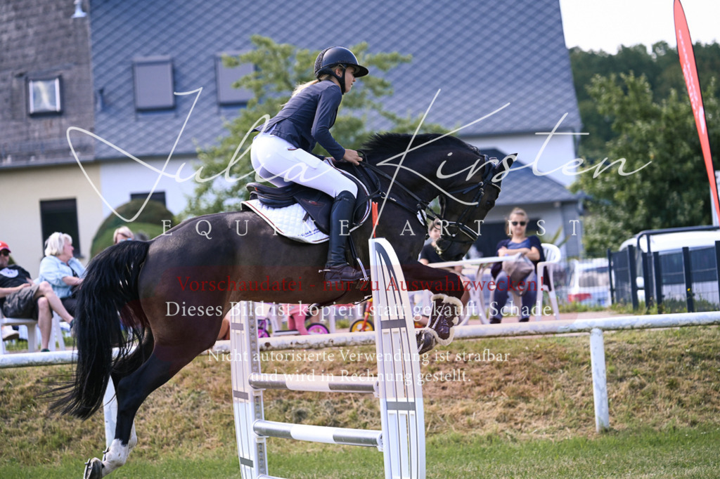 DSC_0289 | Pferde- und Turnierfotografie in Westsachsen. Pferdeportraits, Auftragszeichnungen und intuitive Kunst.