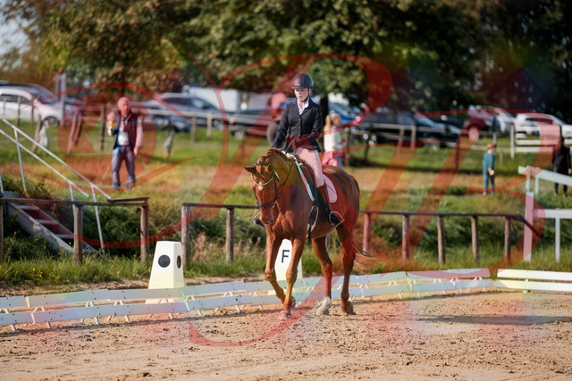 2026_10_03_Siefer-Hof_114216_Z63_23704626 | Professionelle Reitsport-, Turnier- und Eventfotografie von Robert Broda. Galerien mit ausgewählten und bearbeiteten Bildern direkt online ansehen und bestellen.