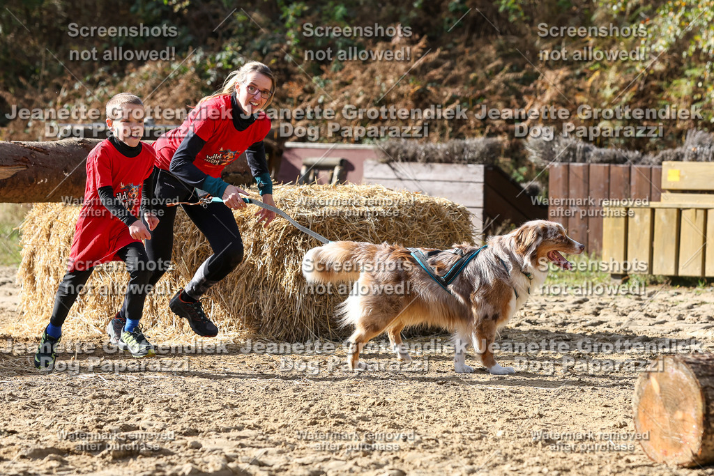 Dog Paparazzi - Strongdog 10-25-5730 | Dog Paparazzi Jeanette Grottendiek Fotografie & Videografie - Realisiert mit Pictrs.com