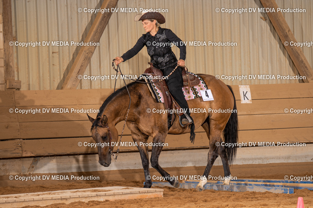 NID00600 | dv-media-shop - Realisiert mit Pictrs.com