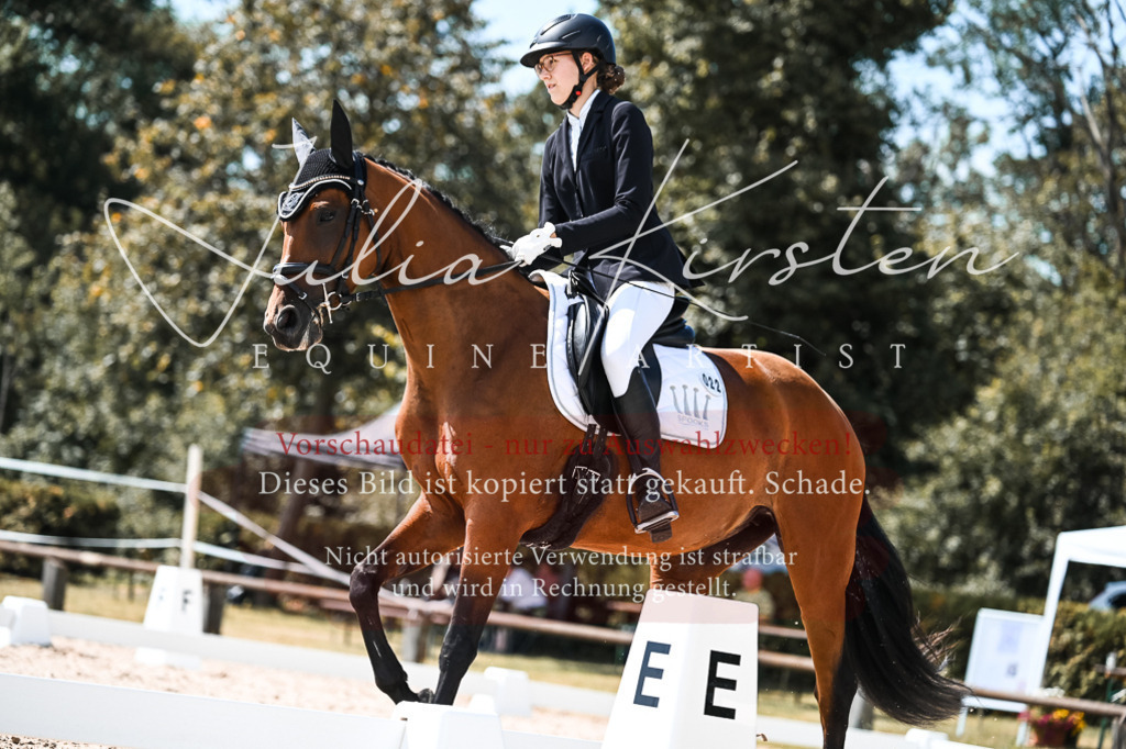DSC_5484 | Pferde- und Turnierfotografie in Westsachsen. Pferdeportraits, Auftragszeichnungen und intuitive Kunst.