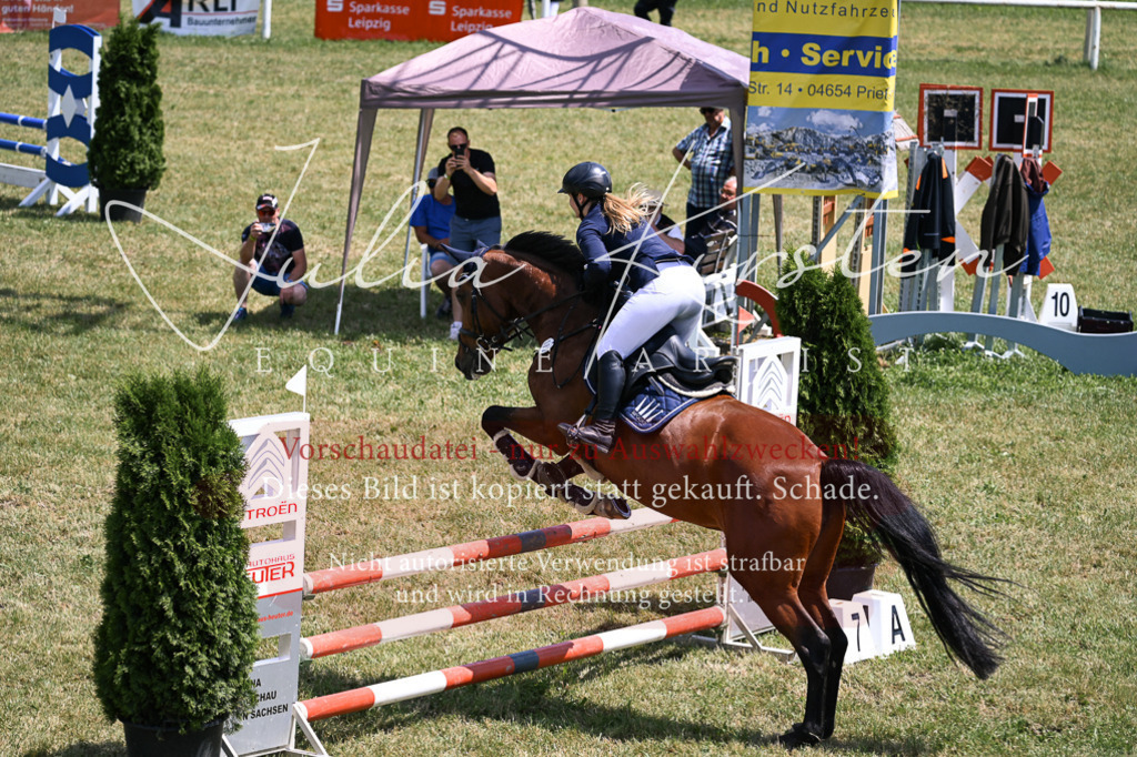 DSC_9863 | Pferde- und Turnierfotografie in Westsachsen. Pferdeportraits, Auftragszeichnungen und intuitive Kunst.