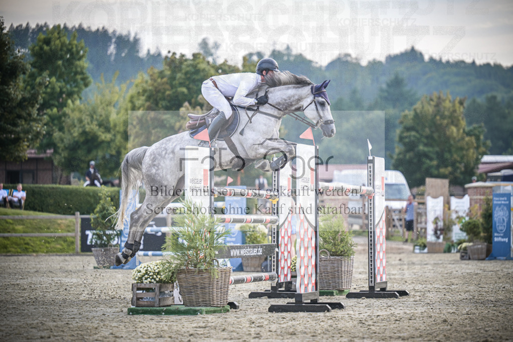 DOS_3756 | Entdecke hochwertige Reitturnierfotos von Foto Oger. Professionell, emotional und authentisch – jetzt Lieblingsmomente im Shop bestellen.Deutschlandweite Turnierfotografie. - Realisiert mit Pictrs.com