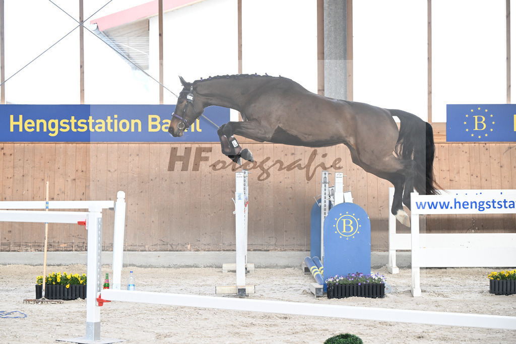 Kat-Nr. 40 Emma von Imhoff v. Cornet Obolensky_Imhoff_5250583 | hf-fotografie - Realisiert mit Pictrs.com