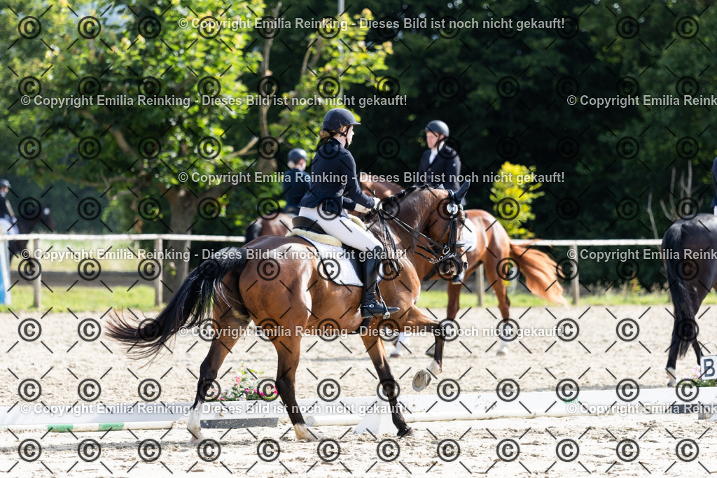 CL5A5617 | Emilia Reinking Fotografie - Realisiert mit Pictrs.com