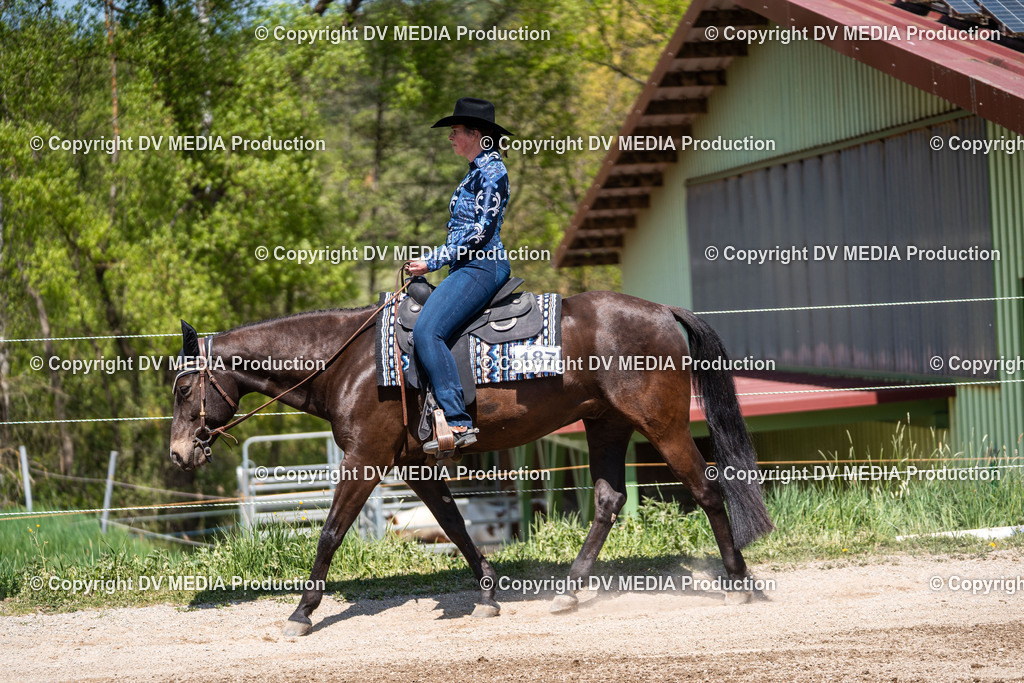 Balingen Tag 2-1095 | dv-media-shop - Realisiert mit Pictrs.com