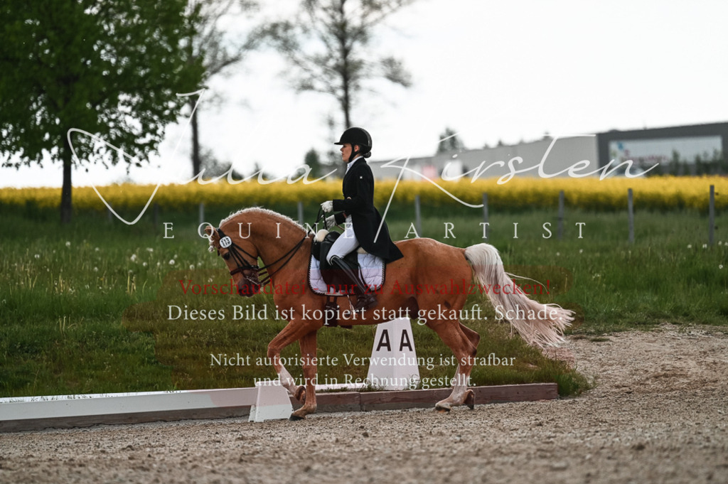 20230514_JK-Röhrsdorf-21-380 | Pferde- und Turnierfotografie in Westsachsen. Pferdeportraits, Auftragszeichnungen und intuitive Kunst.