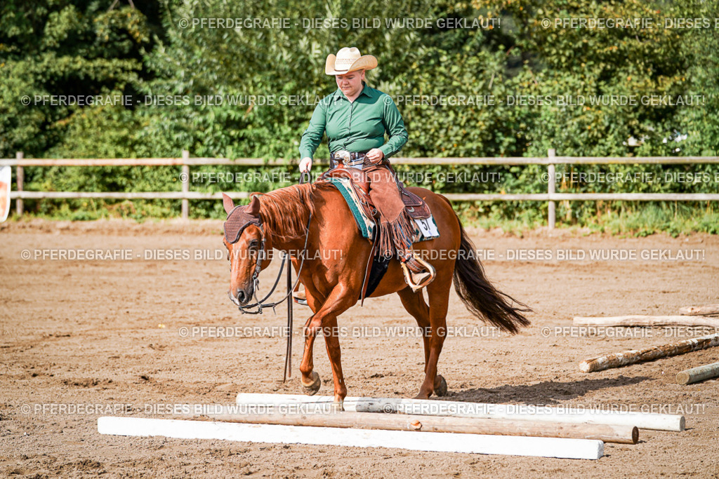 DSC00177 | Pferdegrafie