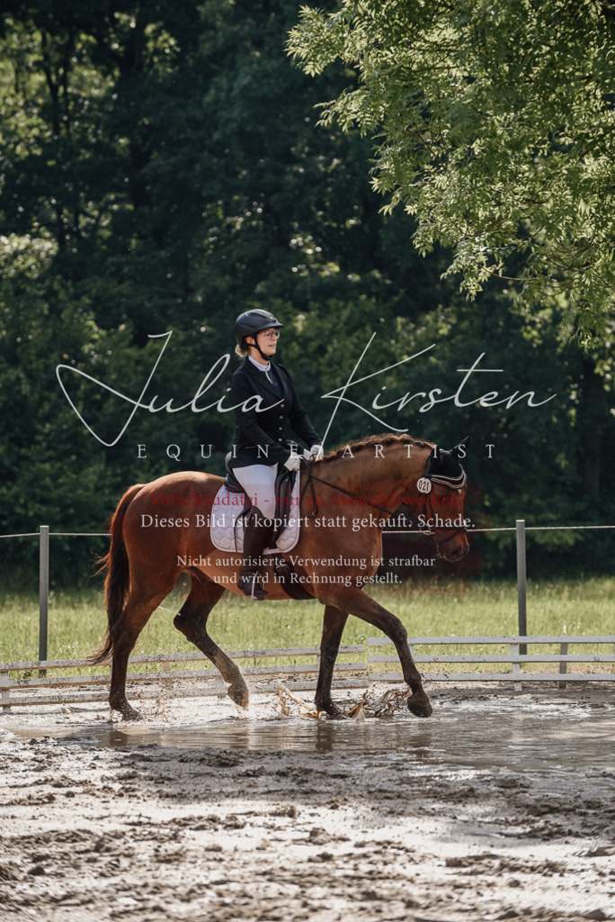 DSC_8841 | Pferde- und Turnierfotografie in Westsachsen. Pferdeportraits, Auftragszeichnungen und intuitive Kunst.