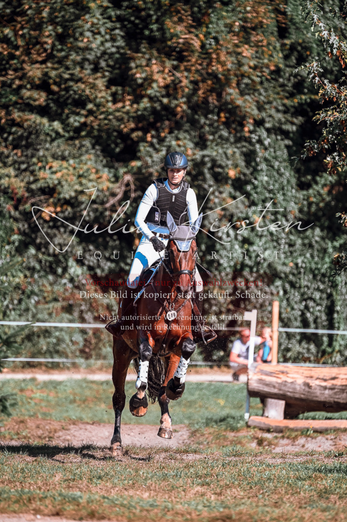 DSC_1096 | Pferde- und Turnierfotografie in Westsachsen. Pferdeportraits, Auftragszeichnungen und intuitive Kunst.
