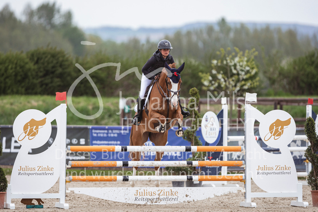 250417_Springpferde-L1-297 | Deine schönsten Turniermomente als professionelle Fotos! Entdecke hochwertige Pferdesport-Fotografie im Online-Shop. Jetzt Fotos finden & bestellen!