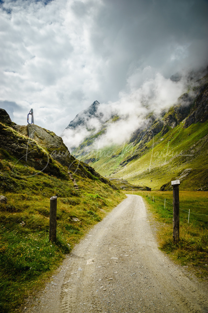 _DSC9686 | Baumgartner Markus Fotografie