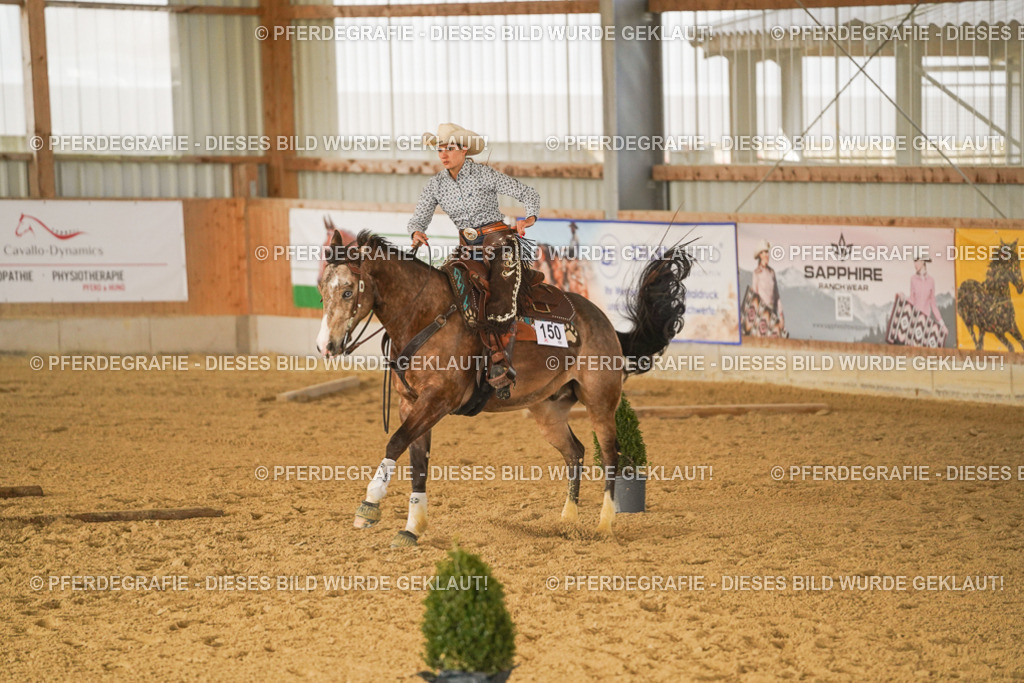 DSC02742 | Pferdegrafie