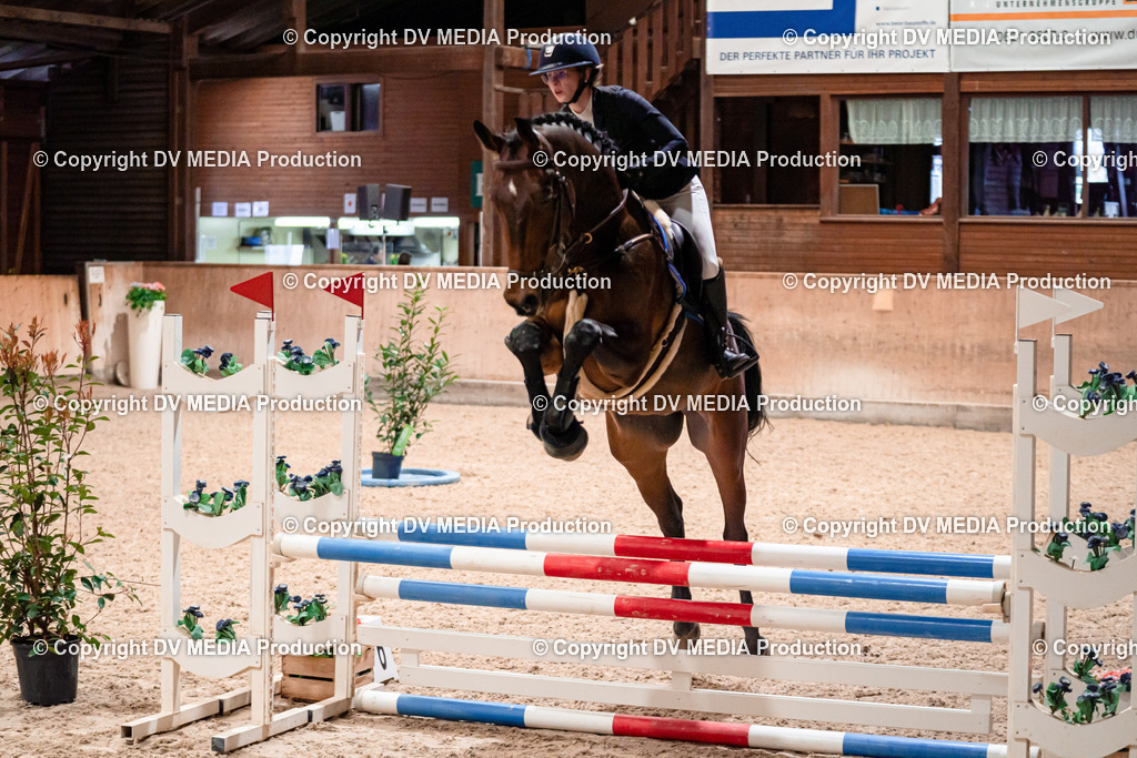 Springen Tag 1-14 | dv-media-shop - Realisiert mit Pictrs.com