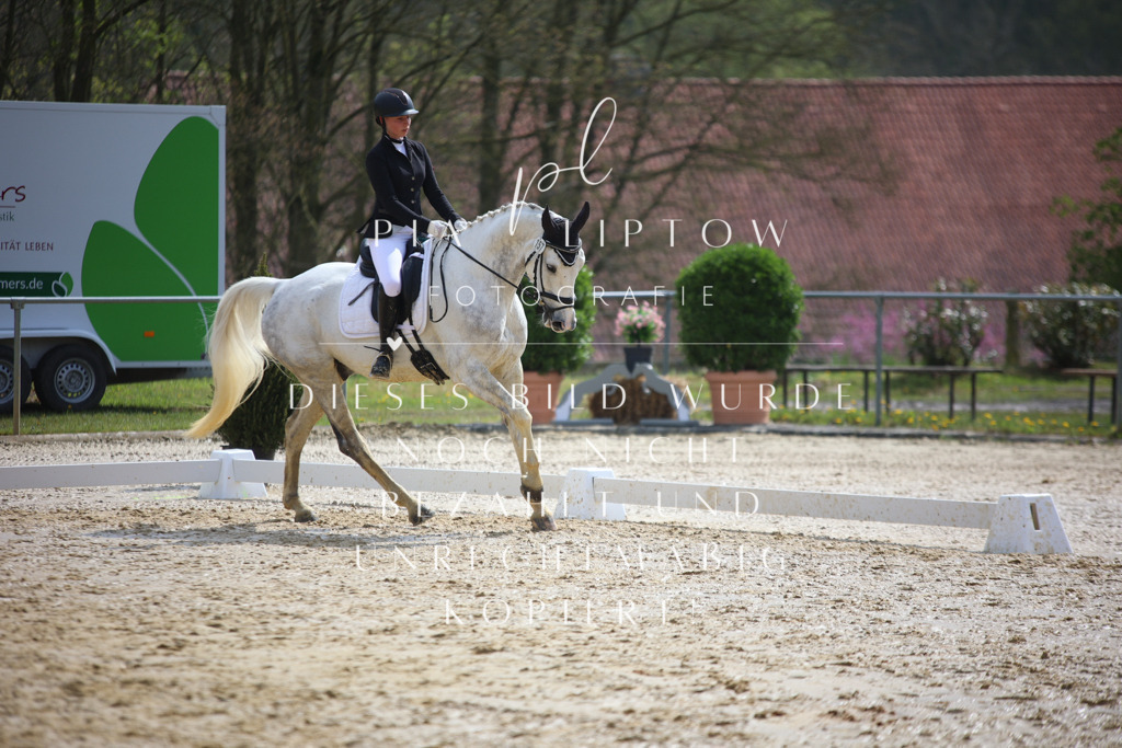 IMGT4865 | pl-fotografie