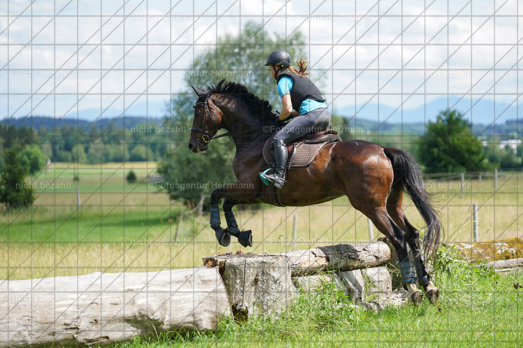 20240622-FAH07725 | Turnierfotografen Bayern, Reitsportbilder aus dem Geländekurs mit Felix Etzel auf dem Gut Waitzacker 2024