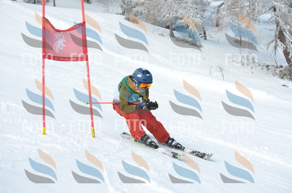 D8820 | holidayphoto